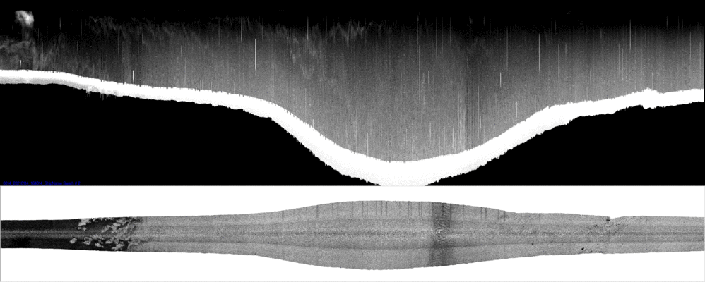vertical
                  section