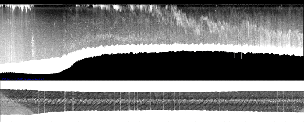 vertical
                  section