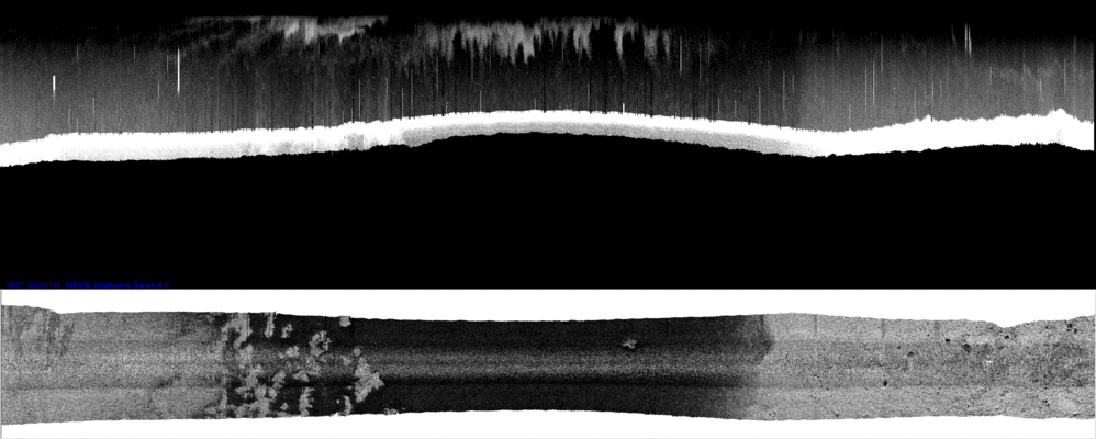 vertical
                  section