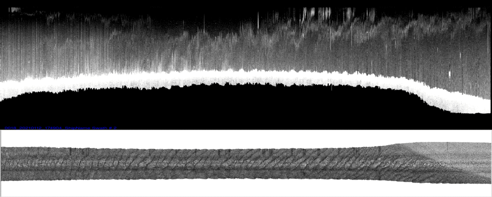 vertical
                  section