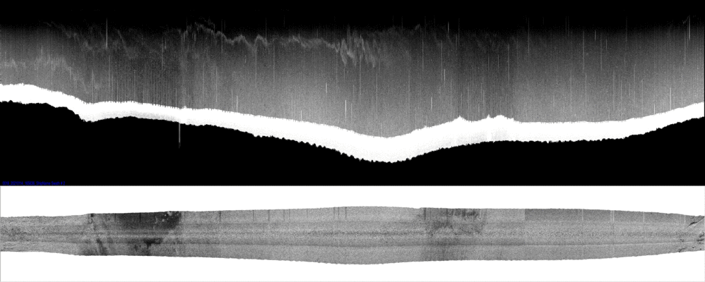 vertical
                  section