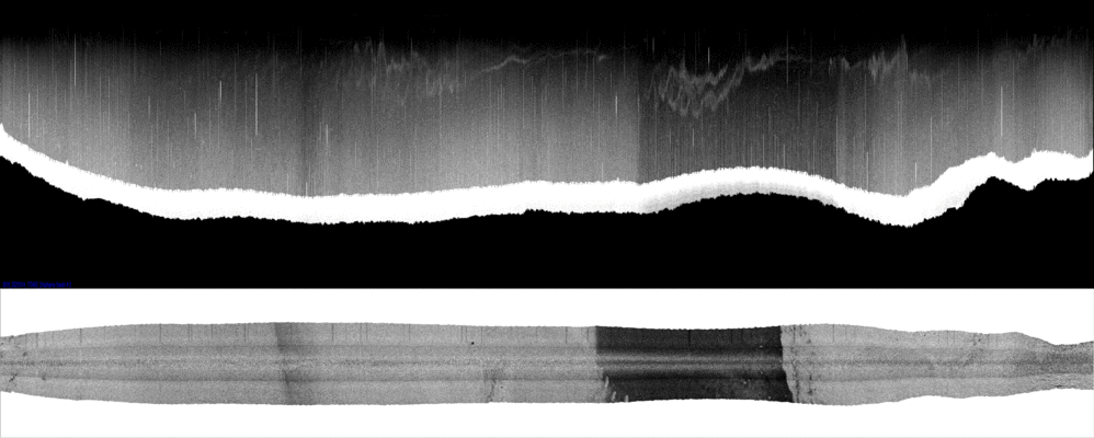 vertical
                  section