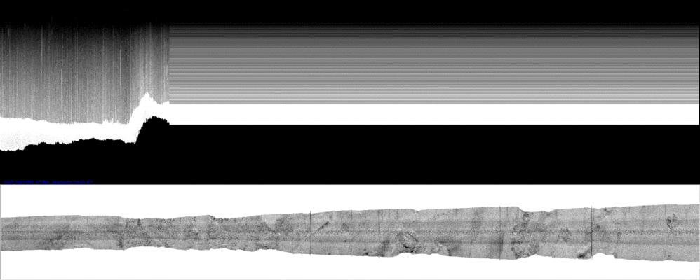 vertical
                  section
