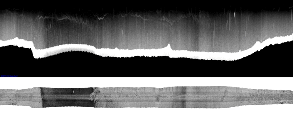 vertical
                  section