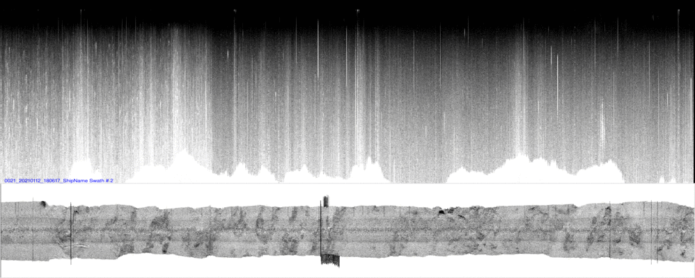 vertical
                  section