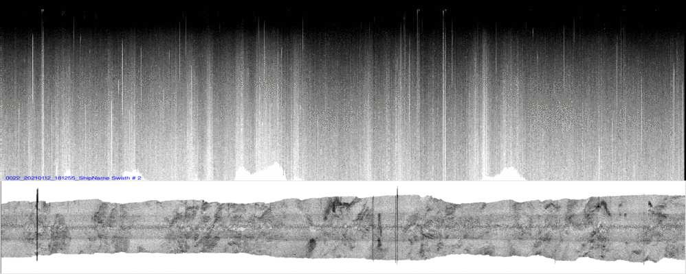 vertical
                  section