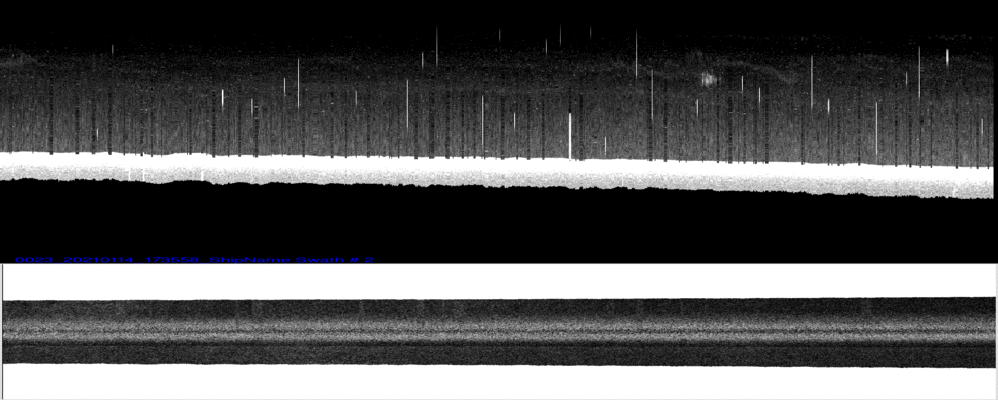 vertical
                  section