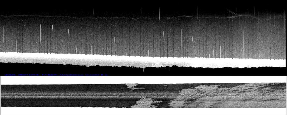 vertical
                  section