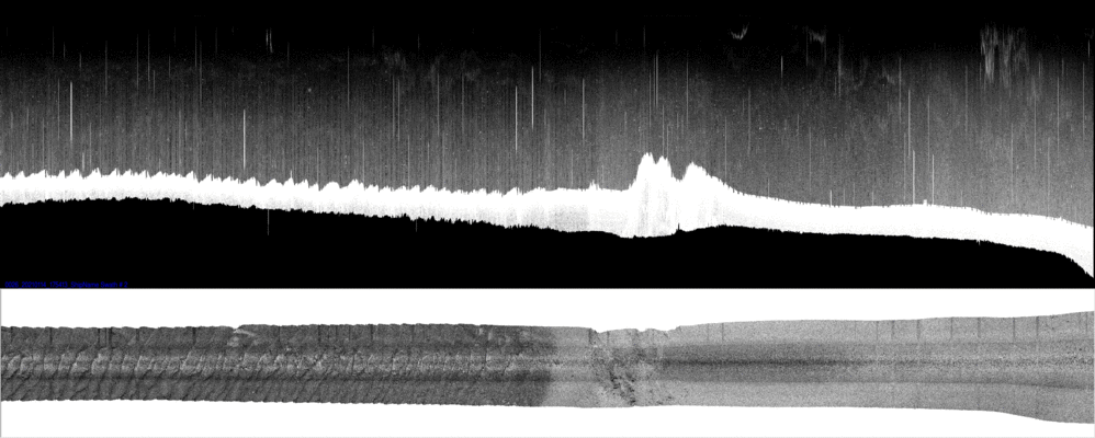 vertical
                  section