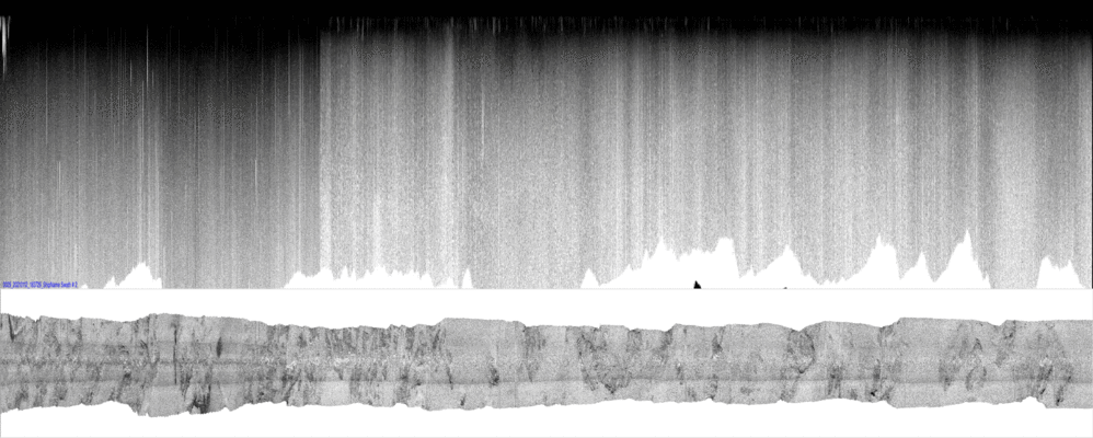 vertical
                  section
