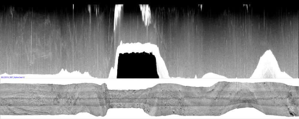 vertical
                  section
