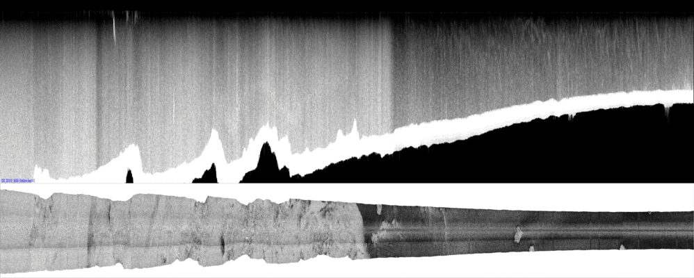 vertical
                  section