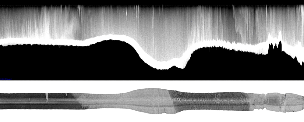 vertical
                  section