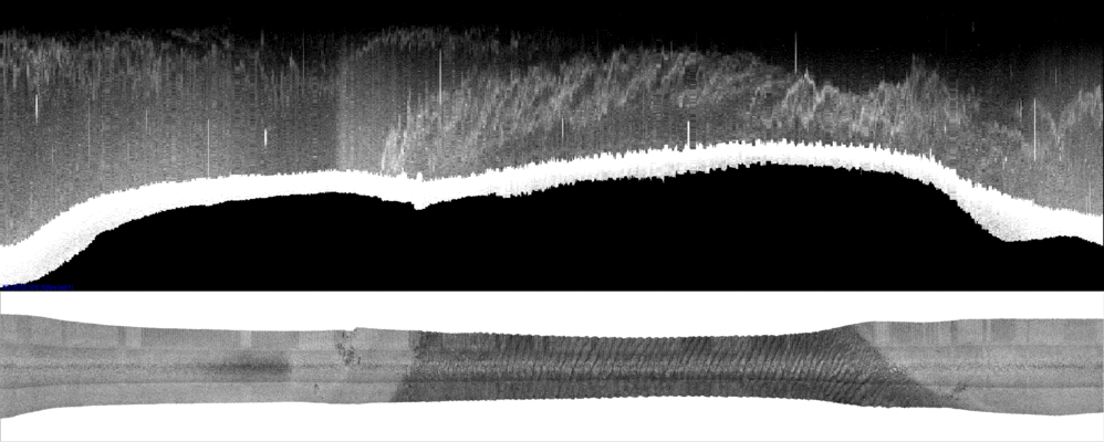 vertical
                  section