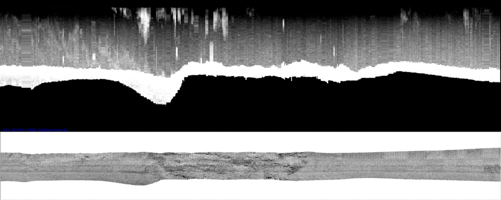 vertical
                  section