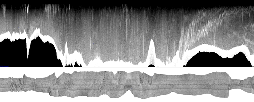 vertical
                  section
