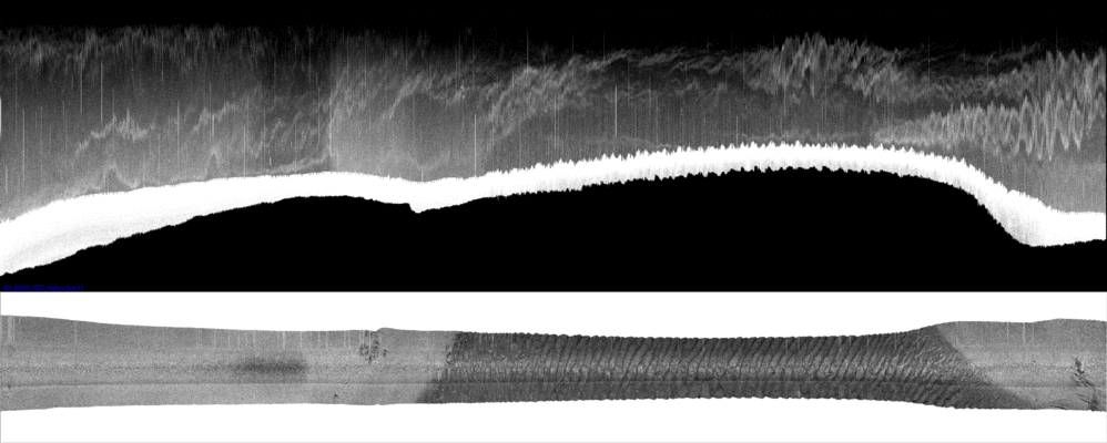 vertical
                  section