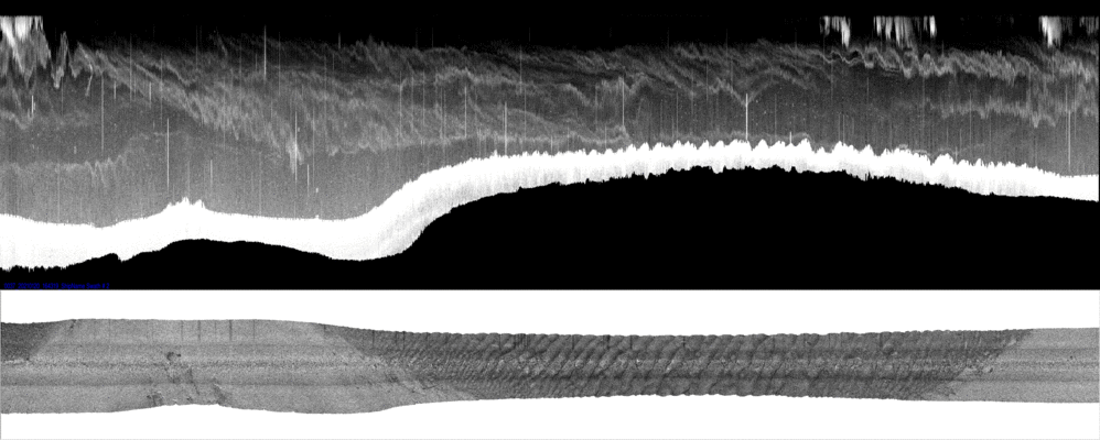 vertical
                  section