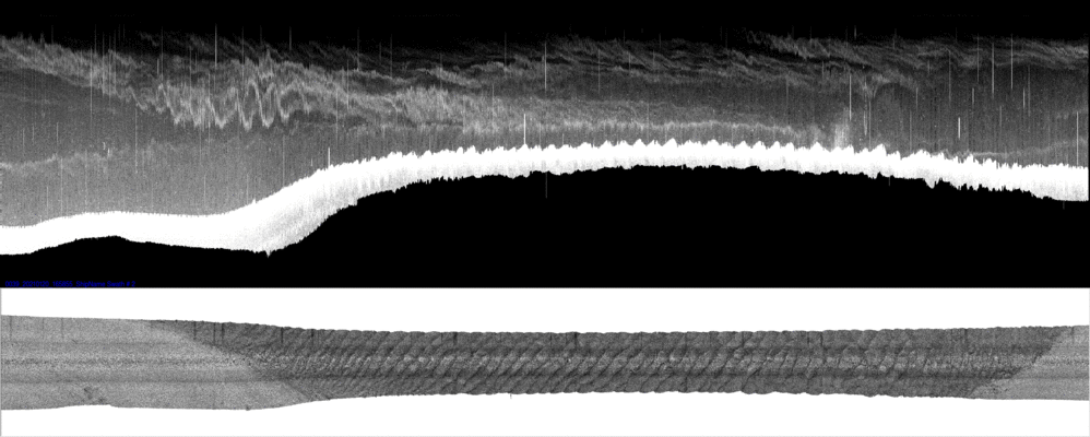 vertical
                  section