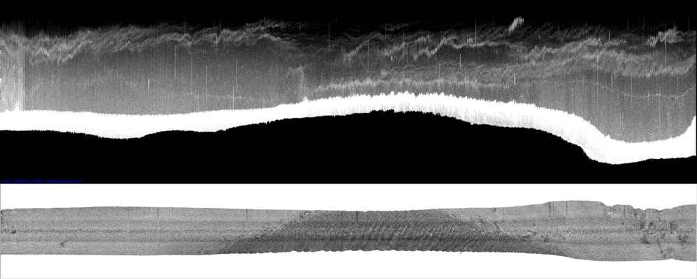 vertical
                  section