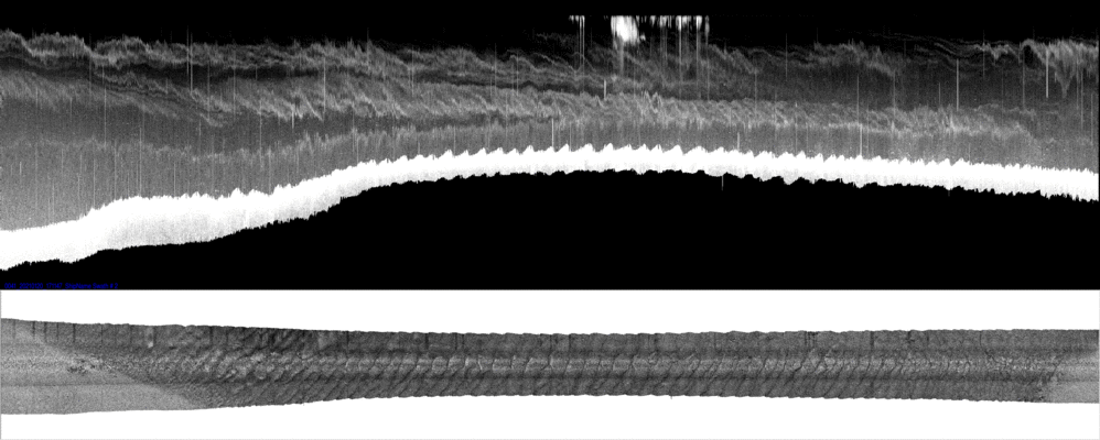 vertical
                  section