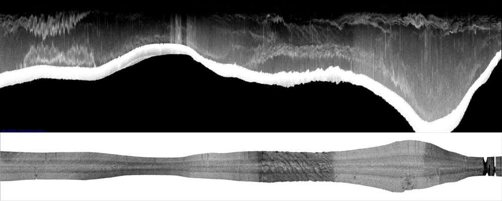 vertical
                  section