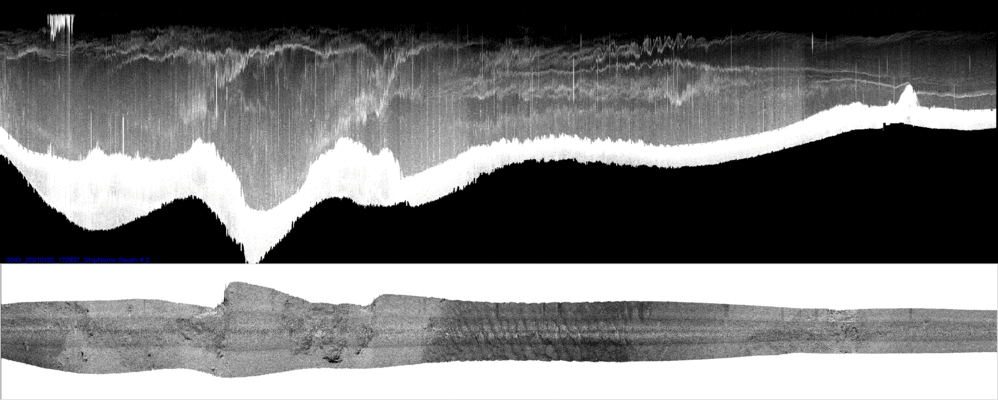 vertical
                  section