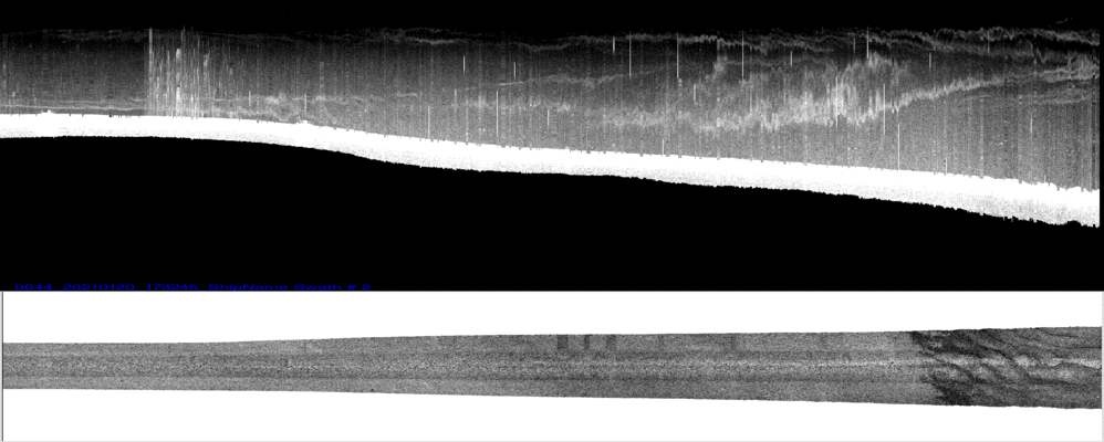 vertical
                  section