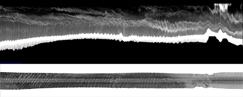 vertical
                  section
