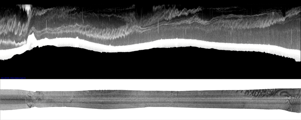 vertical
                  section
