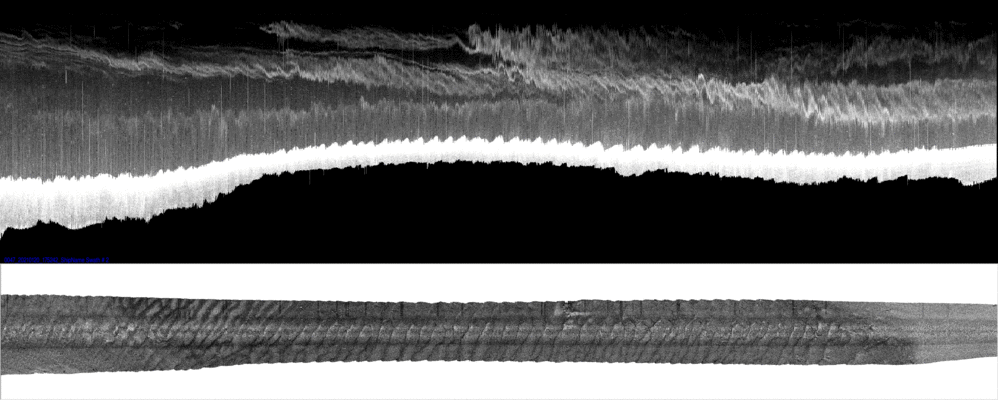vertical
                  section
