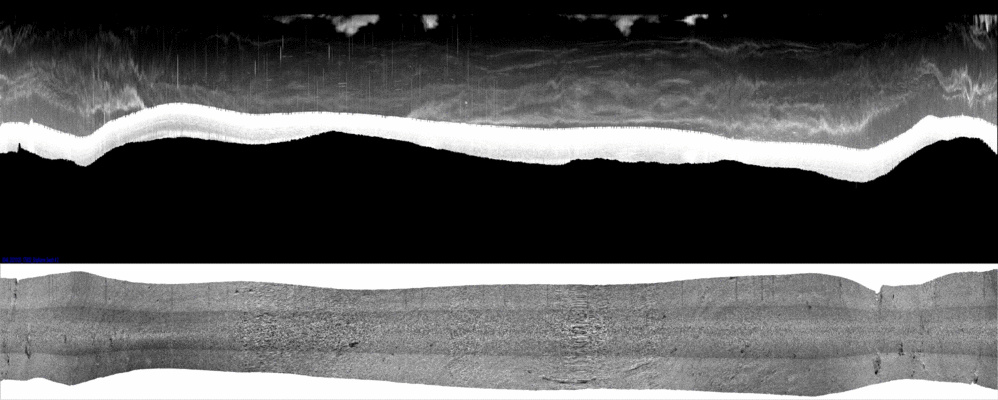vertical
                  section