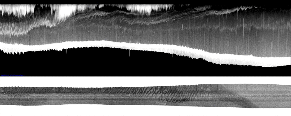 vertical
                  section
