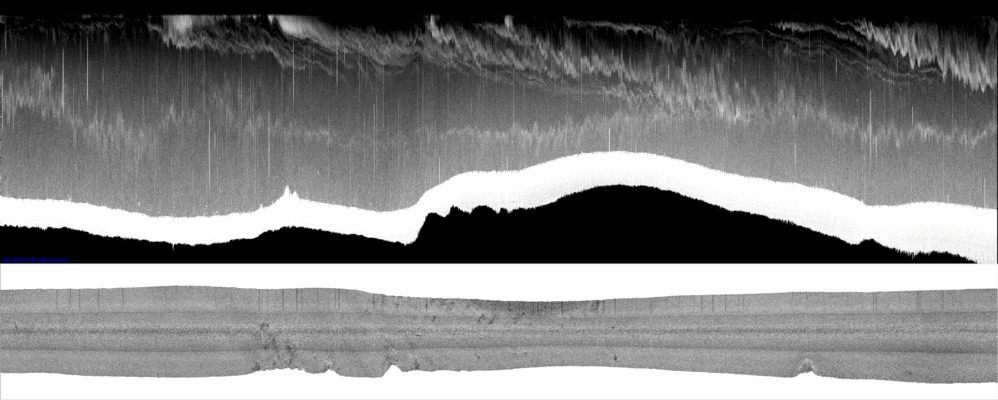 vertical
                  section