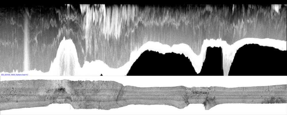 vertical
                  section