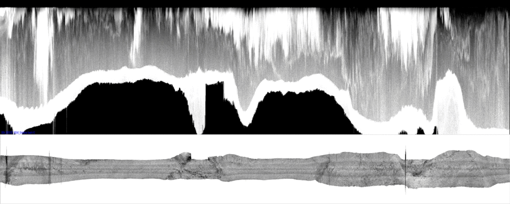 vertical
                  section