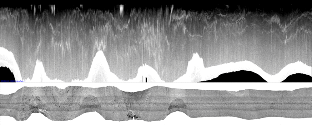 vertical
                  section