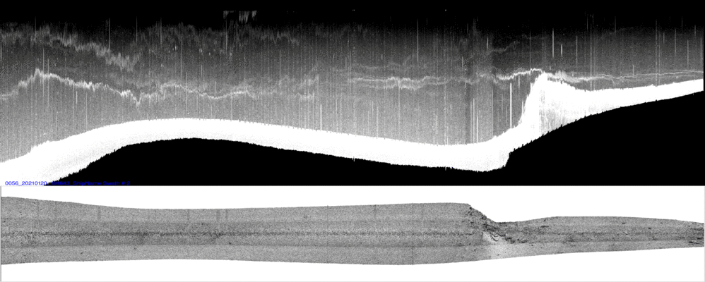 vertical
                  section