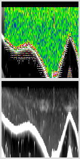 vertical section
