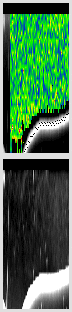 vertical section