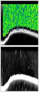 vertical section