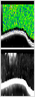vertical section