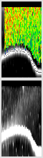 vertical section