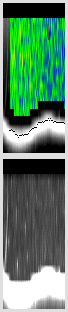 vertical section