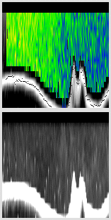 vertical section