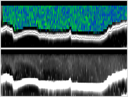 vertical section