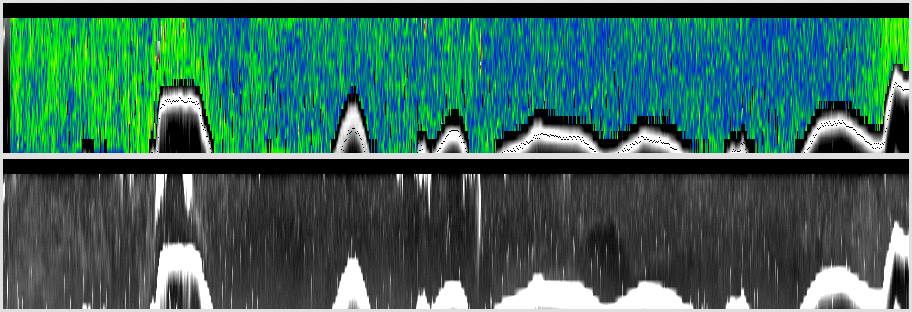 vertical section