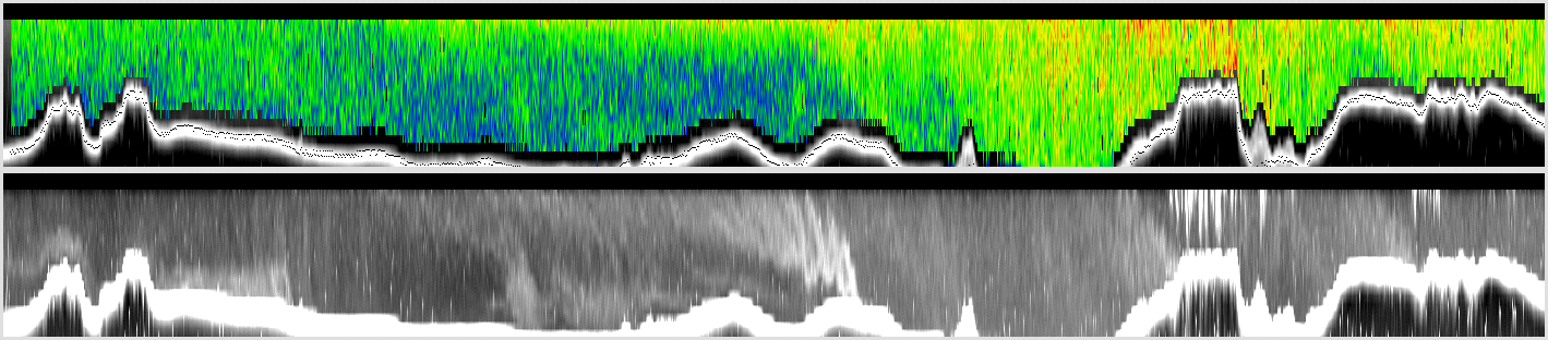 vertical section