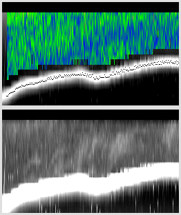 vertical section