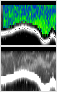 vertical section